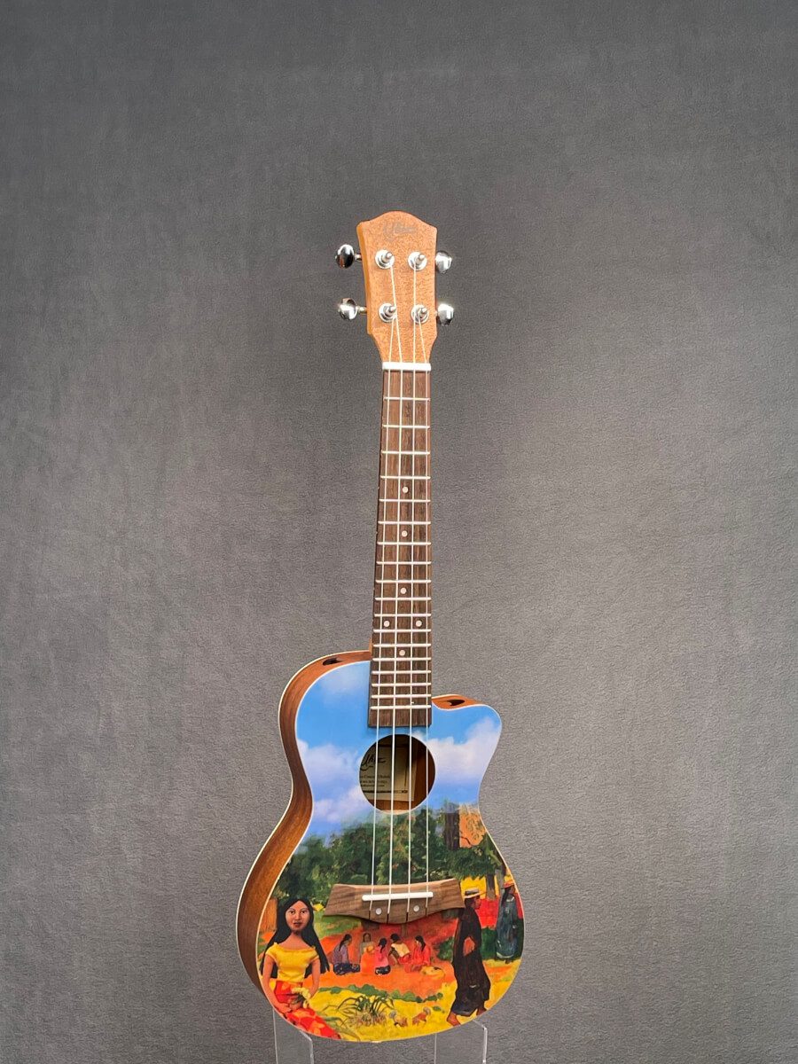 ukulele online shop